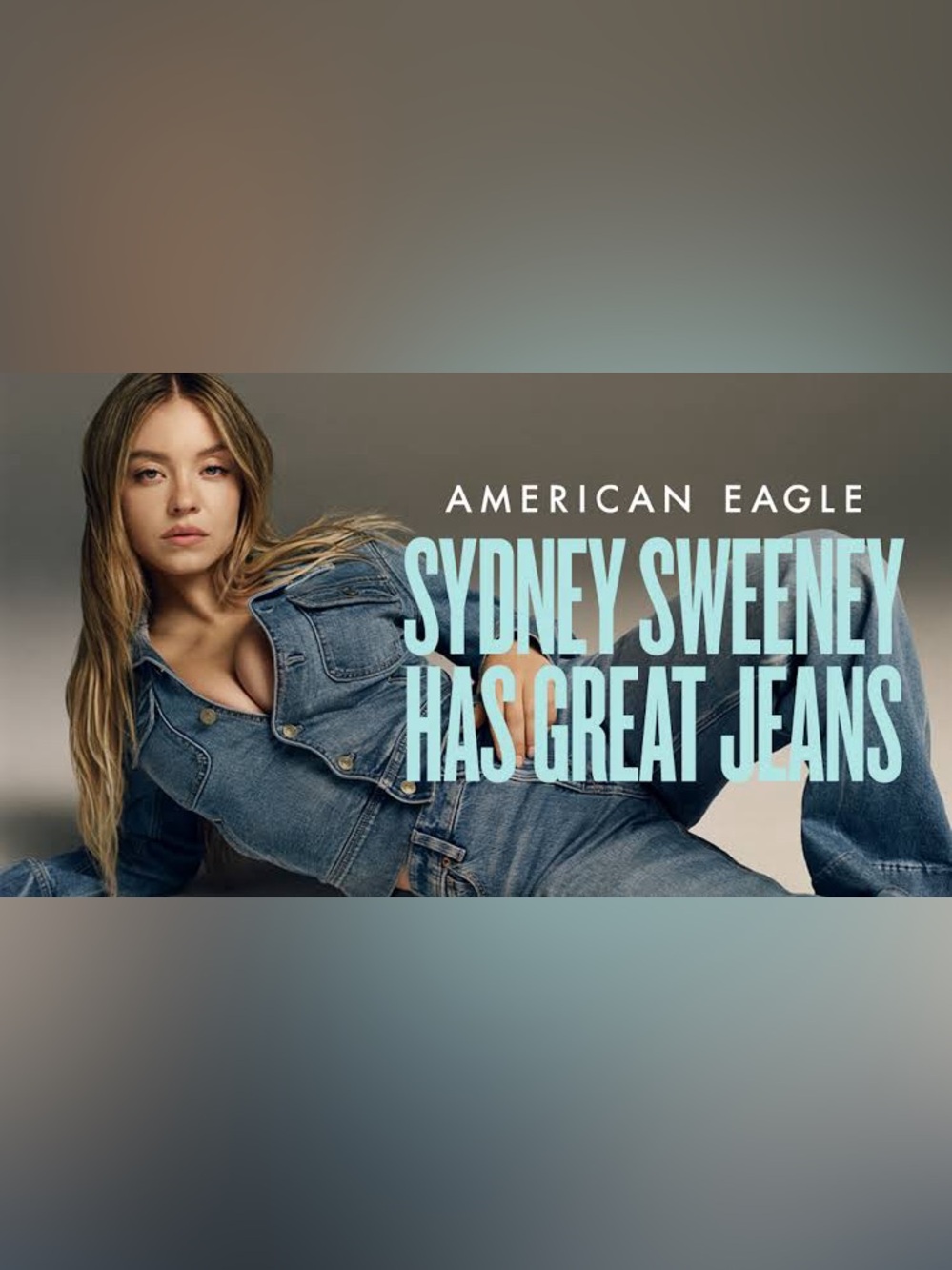 Sydney Sweeney NWOT American Eagle Straight-Leg Jeans